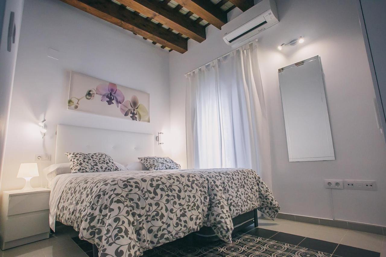 Apartment Casa Palacio *