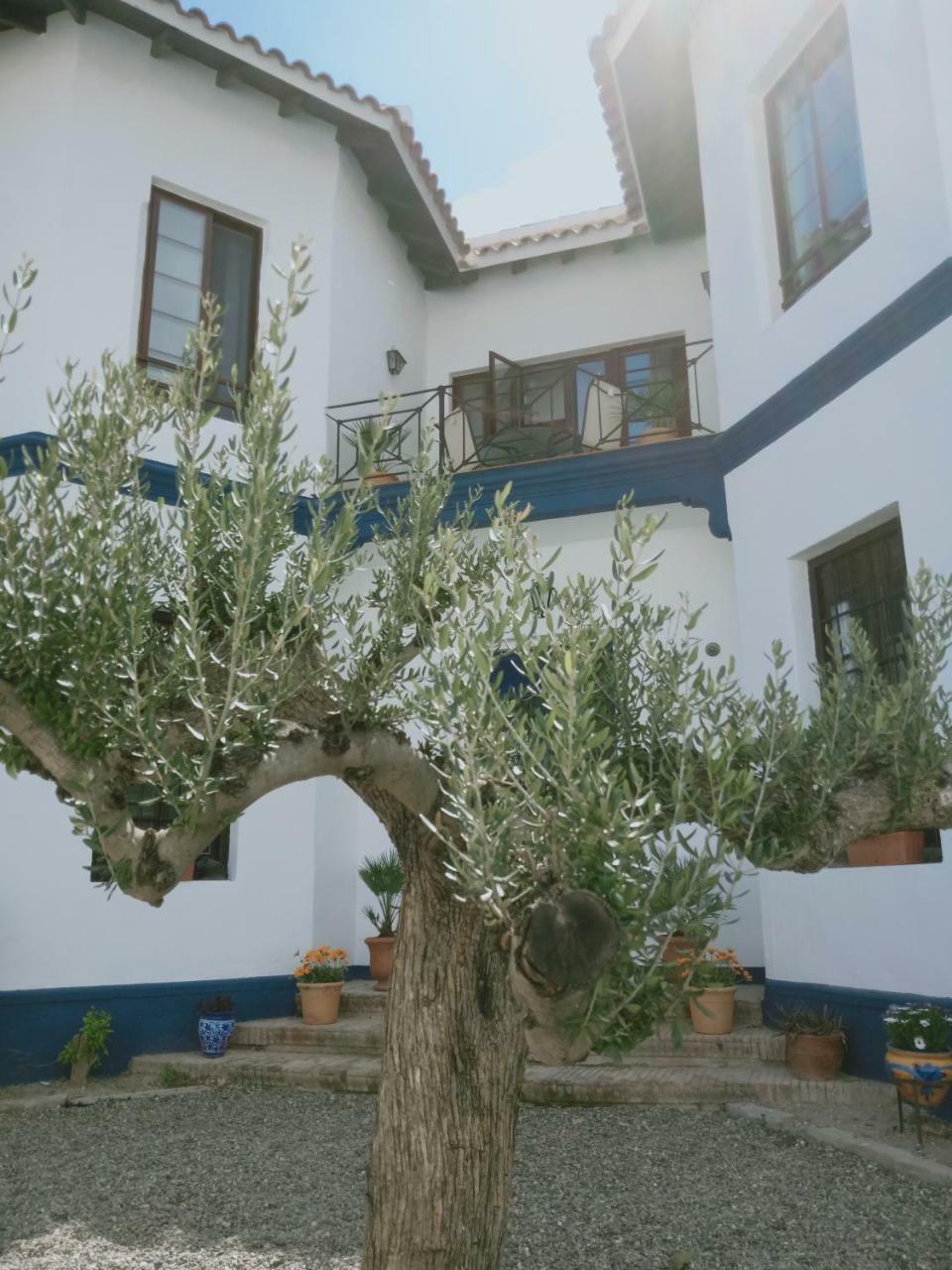 El Cielo Azul 2*