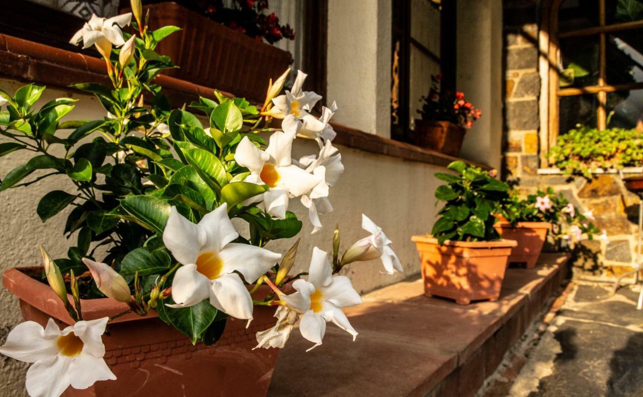 Guest house Montserrat 3*