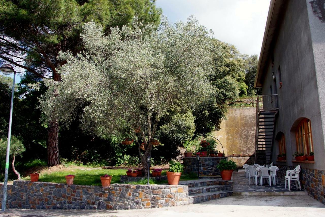 Guest house Montserrat Montseny