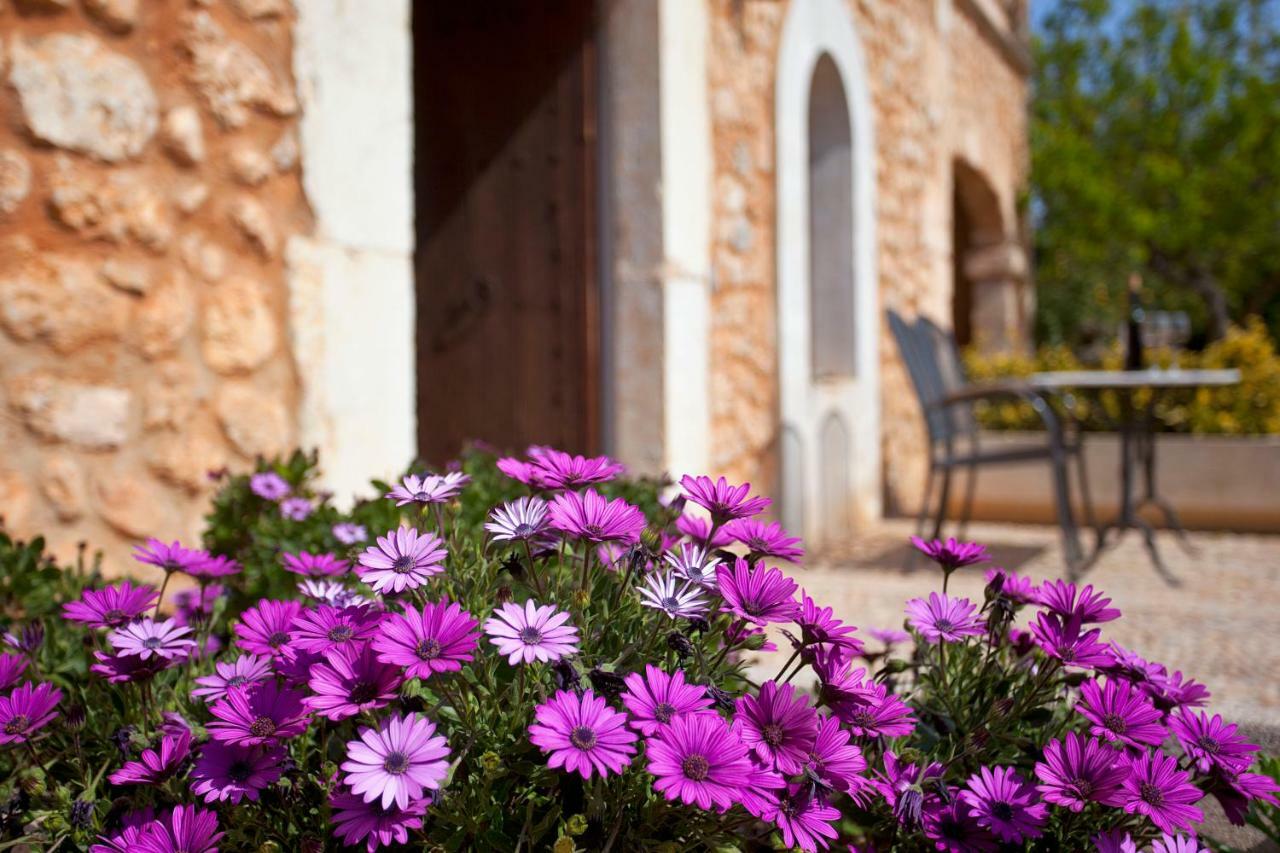 Farm stay Es Quatre Cantons Binissalem