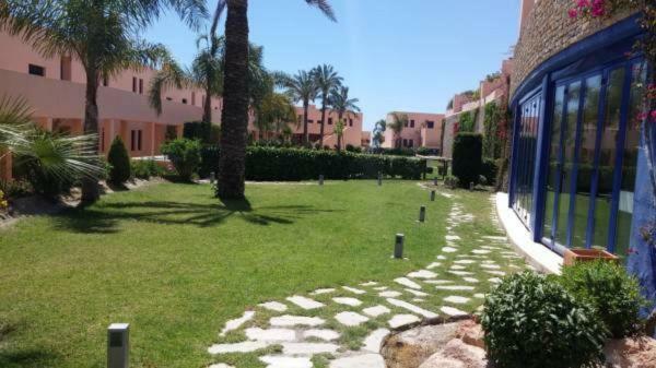 Atalaya Graceful *