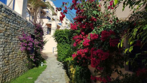 Atalaya Graceful Apartamento