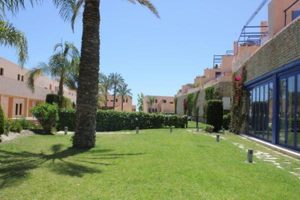 Atalaya Graceful
