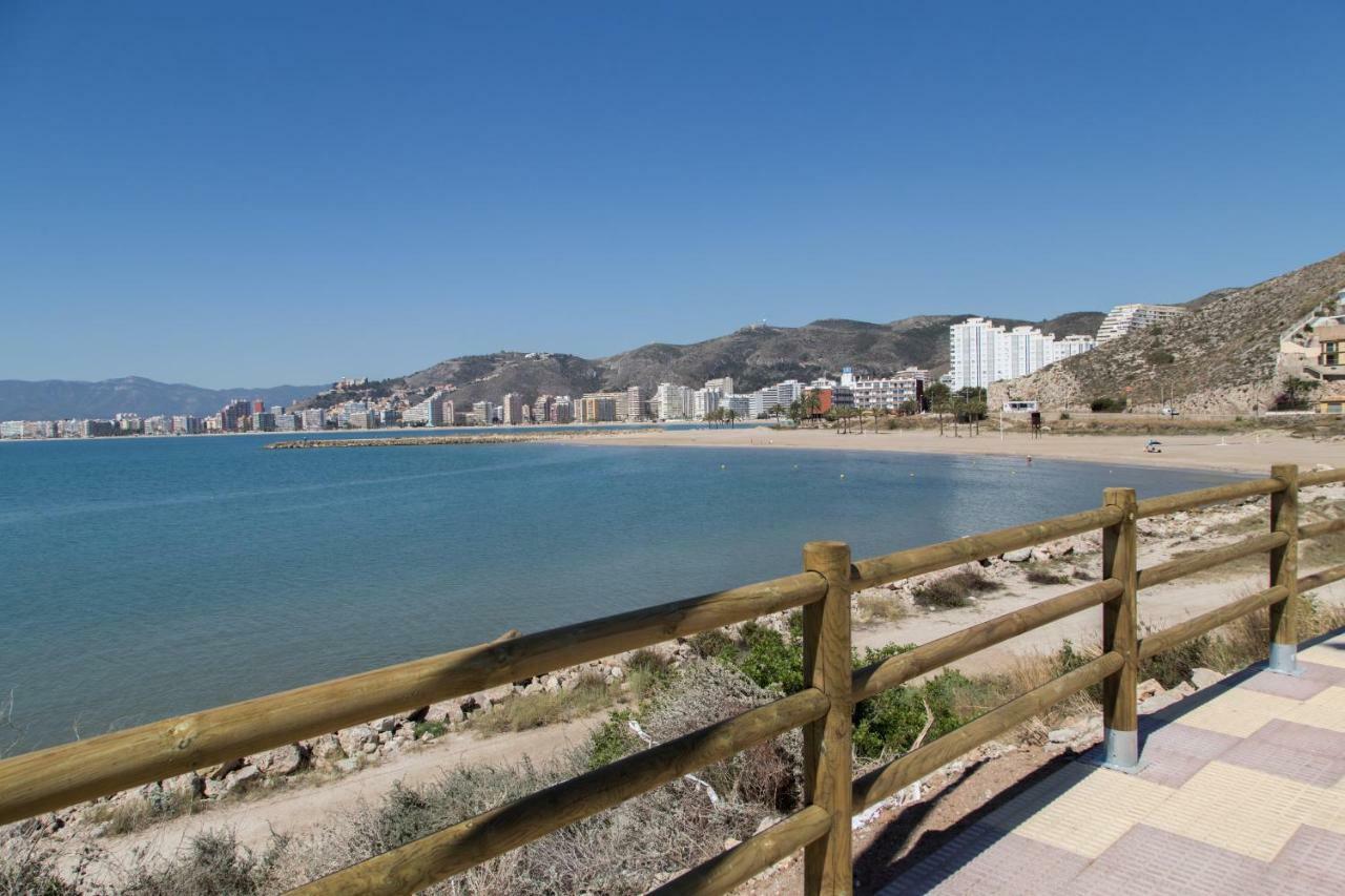 Olivos Cullera