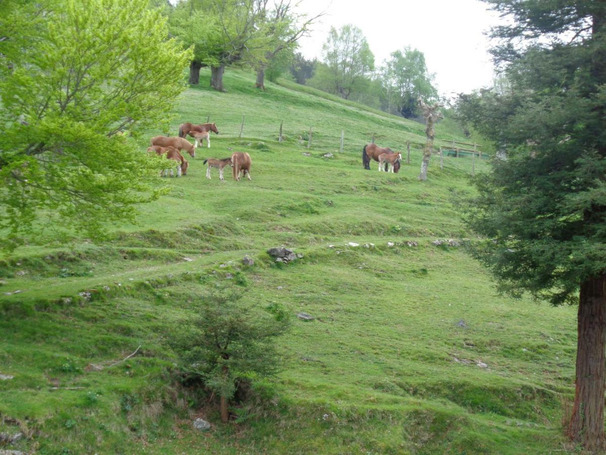 Country house Casa Rural Alustiza Villabona