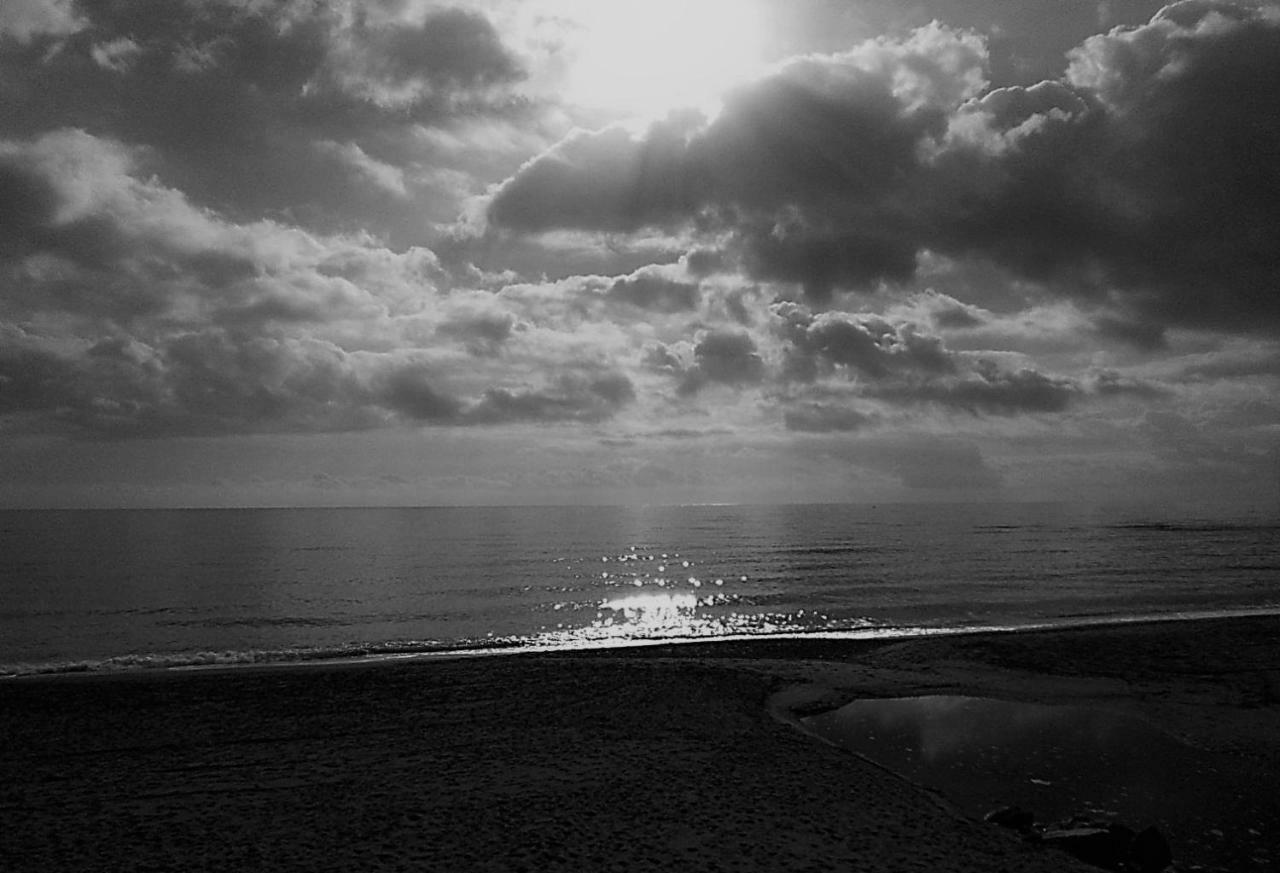 Ap 150 M Playa Apartamento
