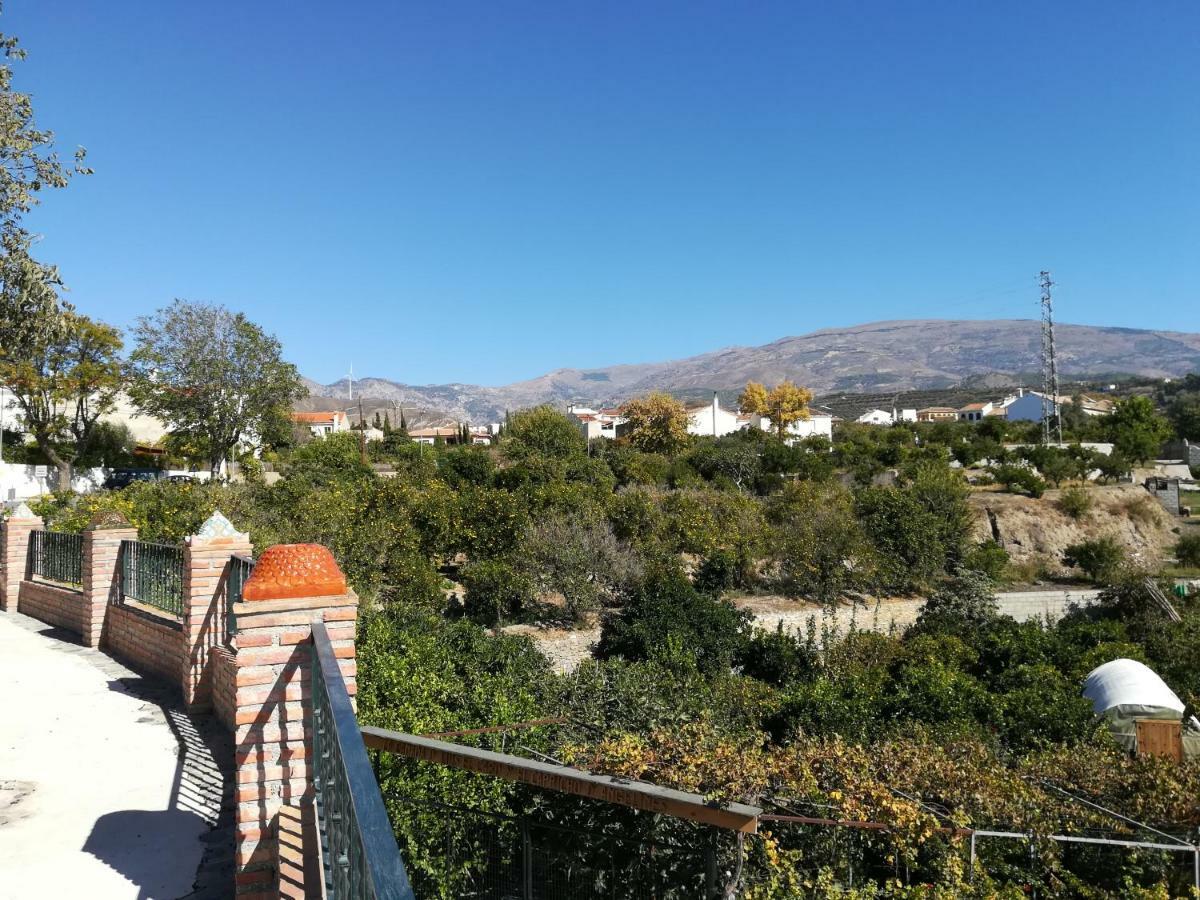 Y Rural Naranjos 2*