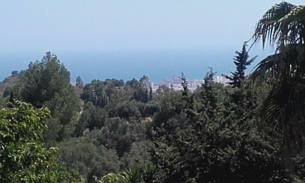 Apartment Finca Batan *