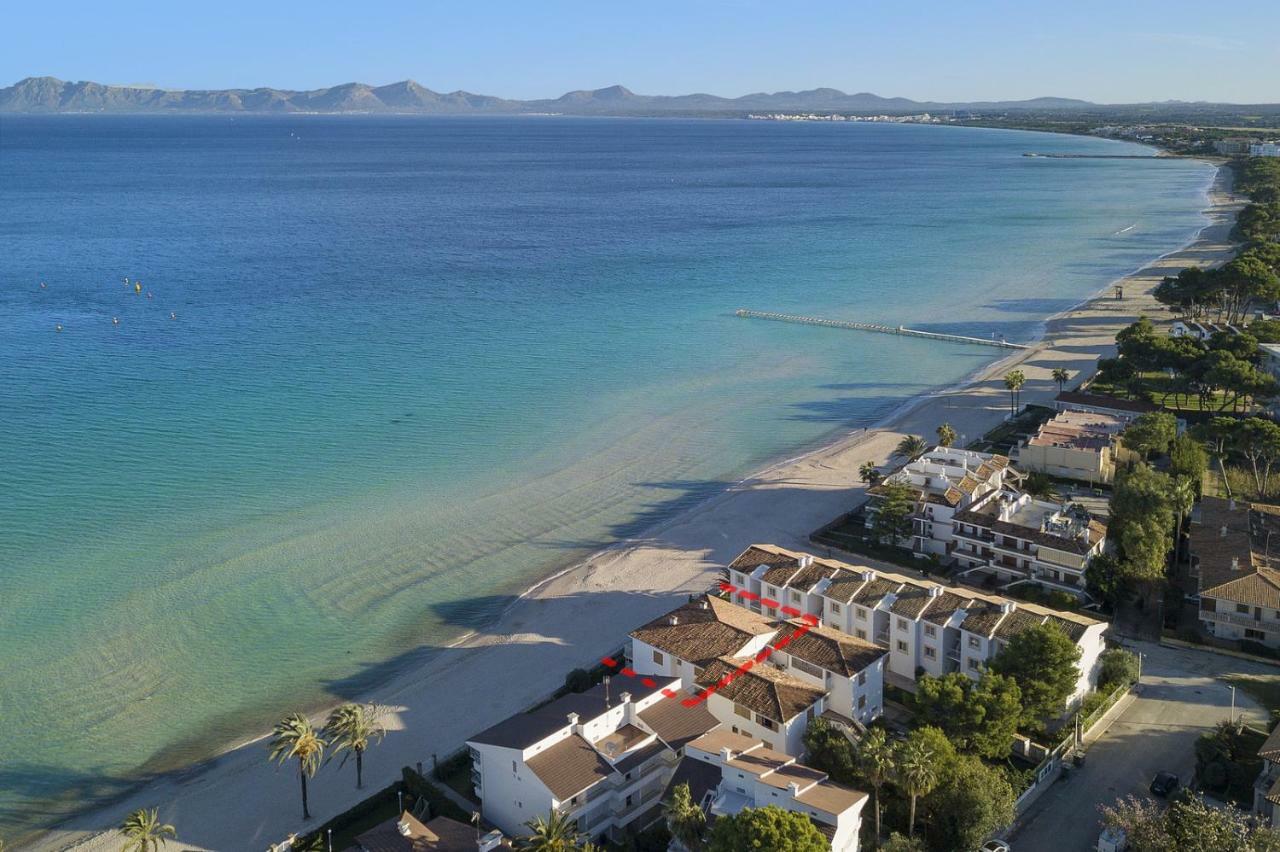 Lauba * Port de Alcudia (Mallorca)