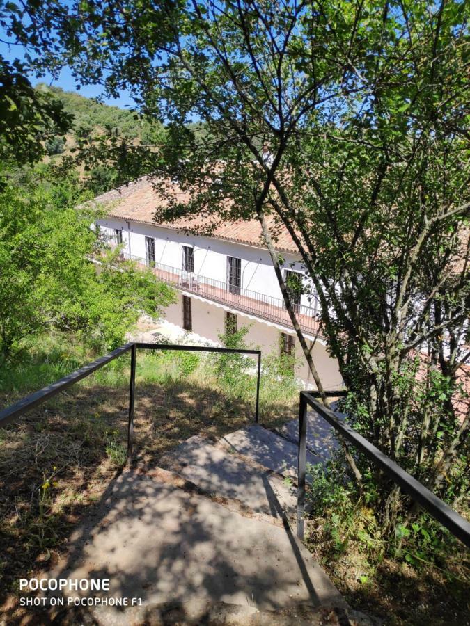 Pozos De La Nieve Apartment *