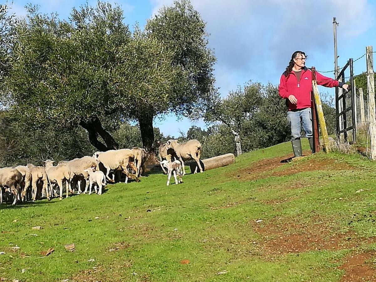 La Carnicera Constantina