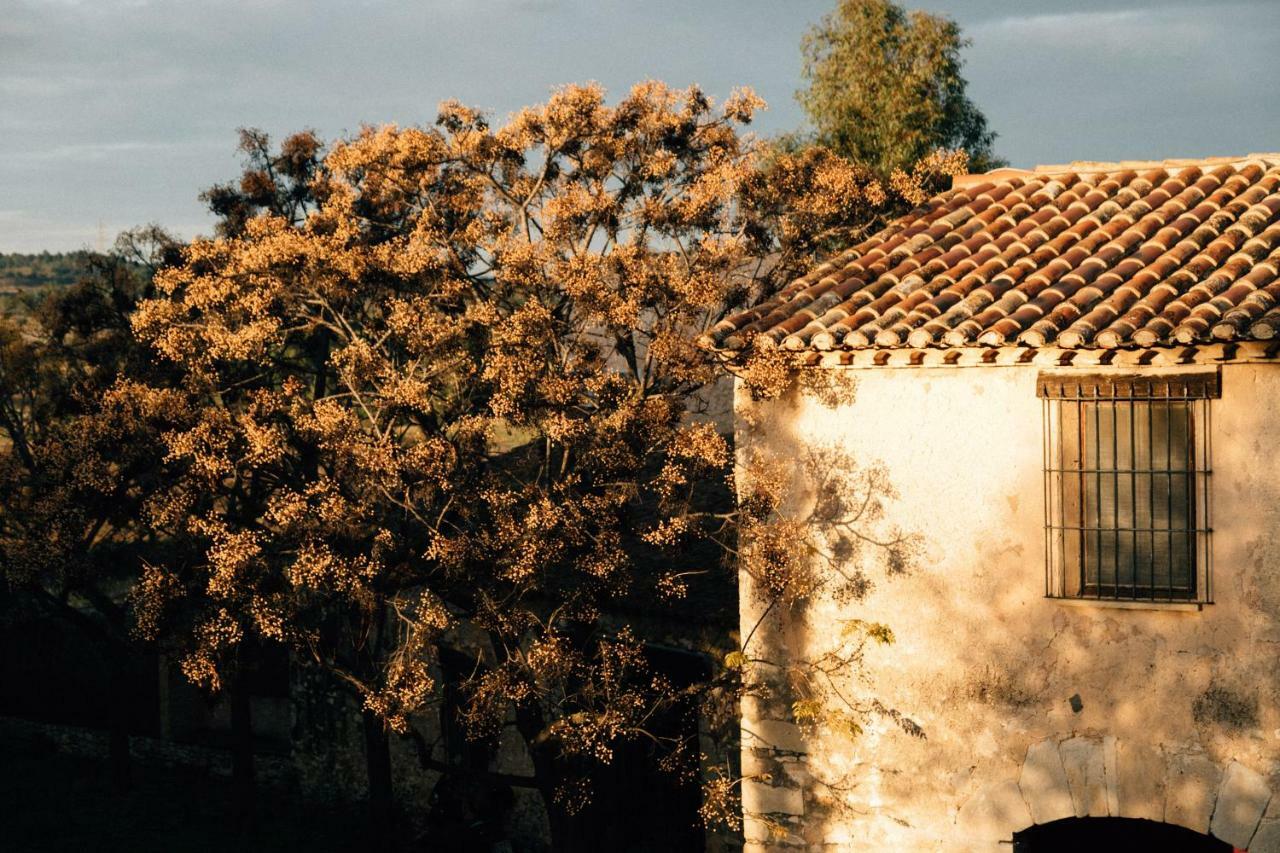 Villas Peralta - Adults Only Renau
