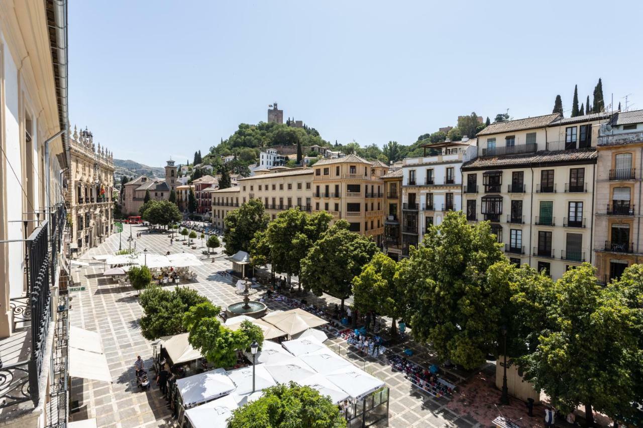 Bibo Plaza Nueva *