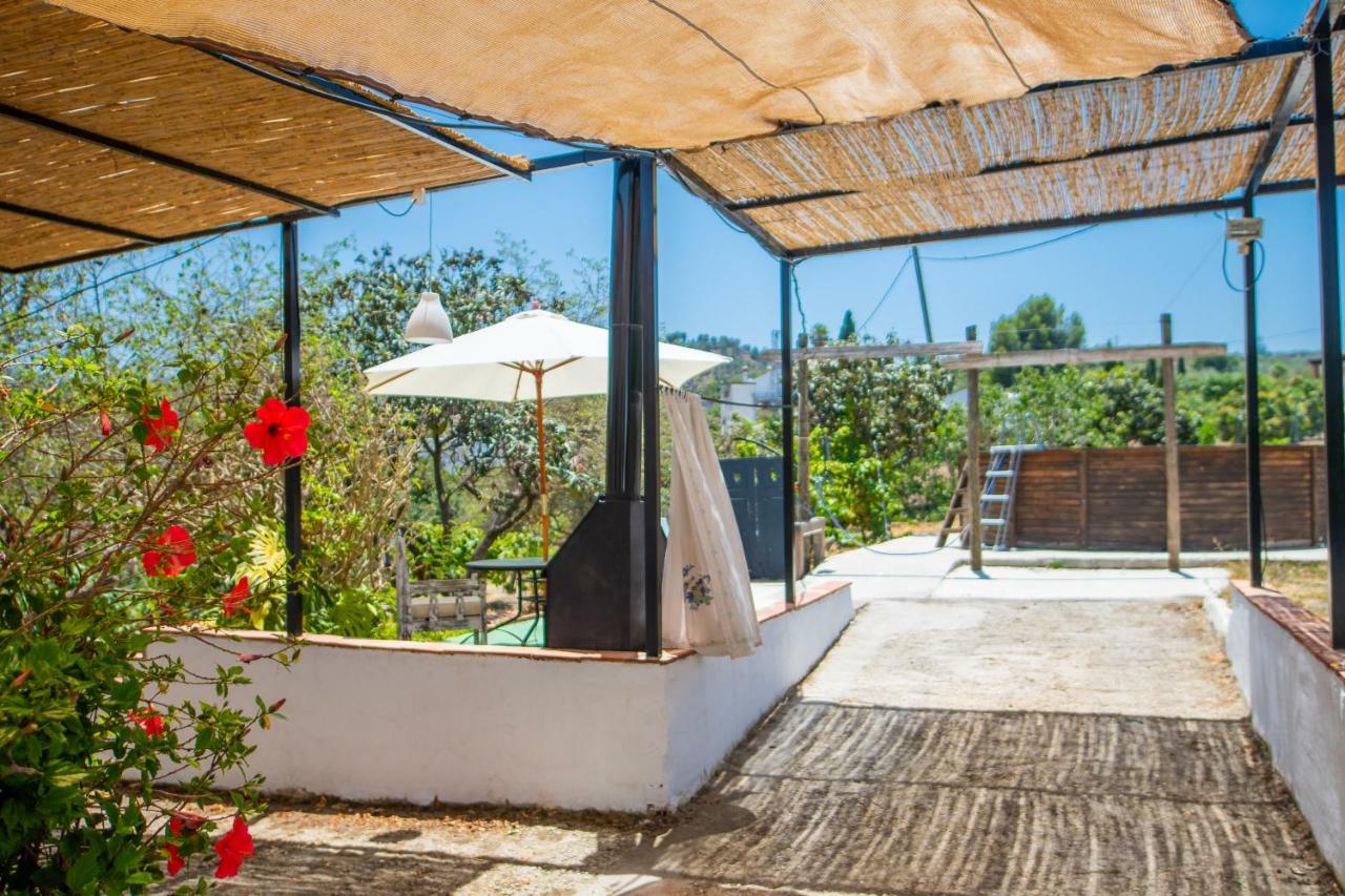 Cubo's La Canada De Coin