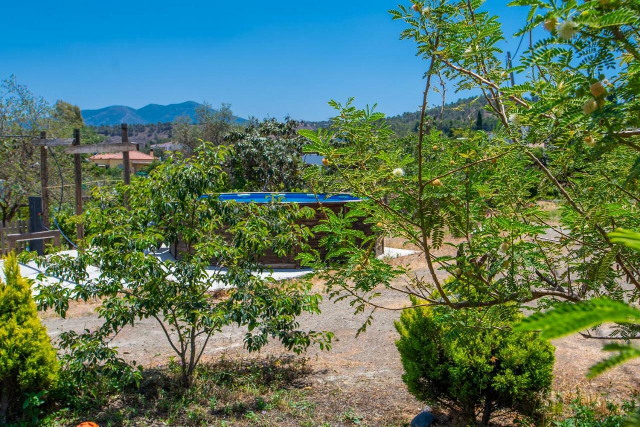 Cubo´s La Cañada De *