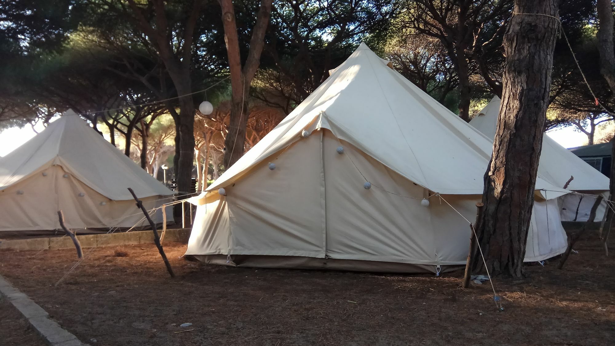 Kampaoh Campo de lujo *