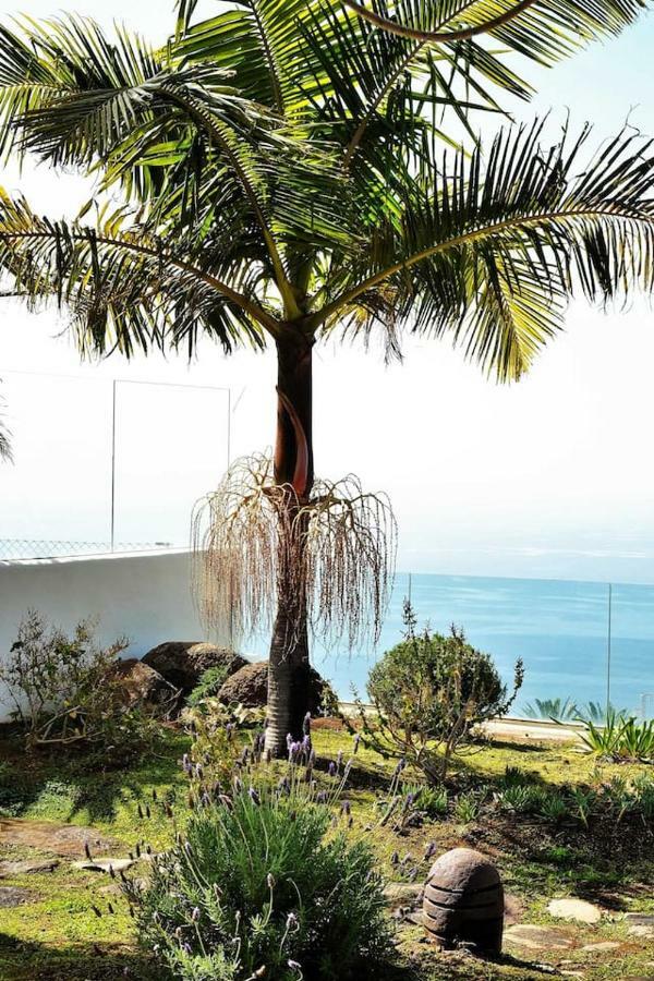 Perseidas Villa Tijarafe