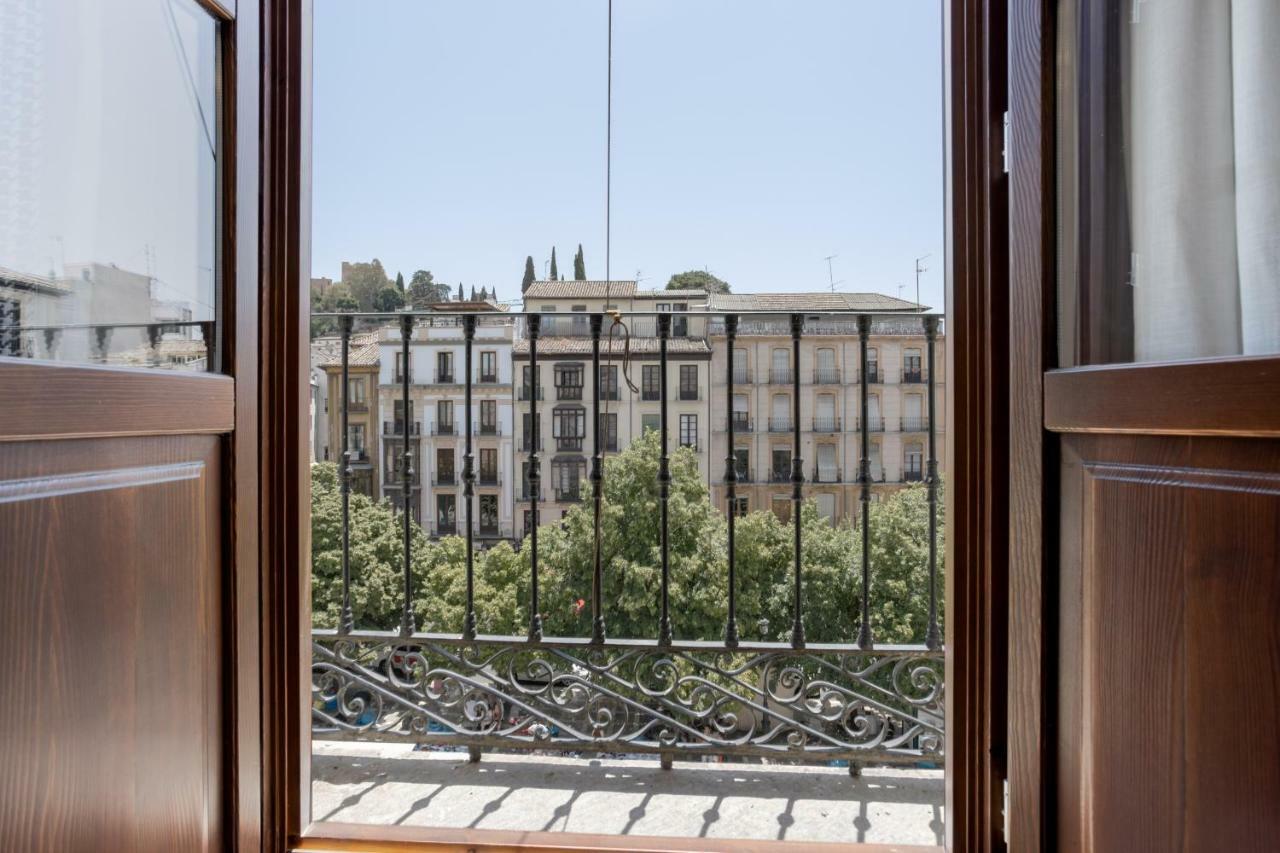 Bibo Plaza Nueva *