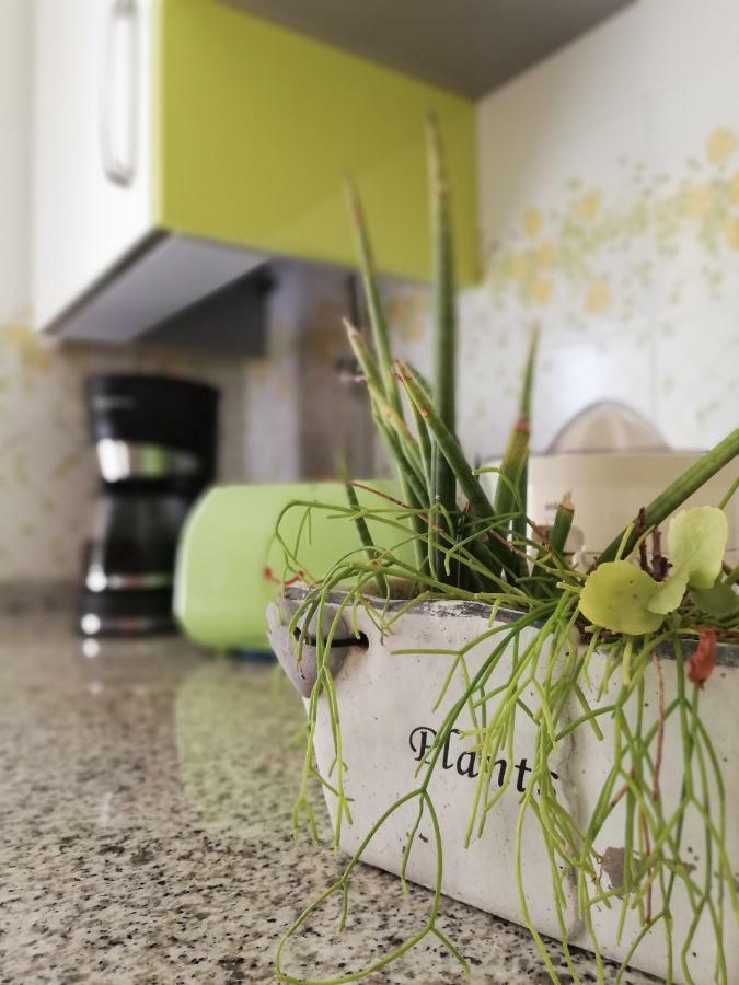 Fantastic Comarruga Apartment
