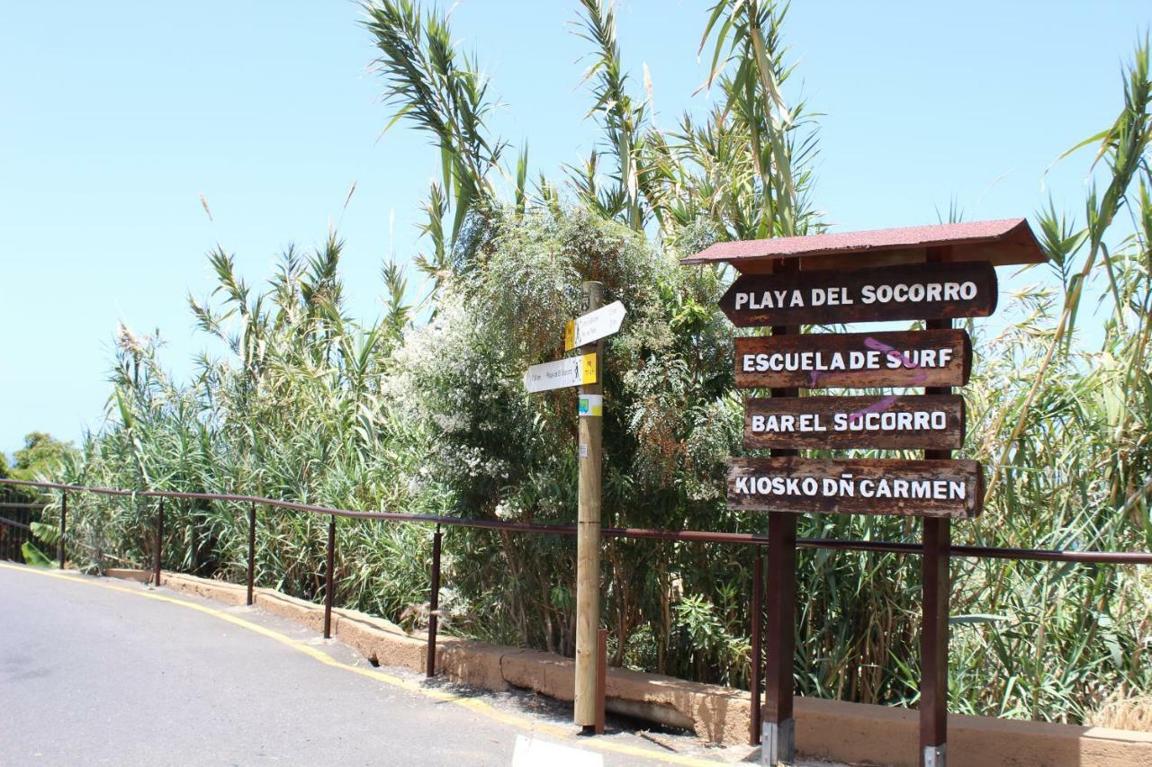 Holidaynorthtenerife Exotic *
