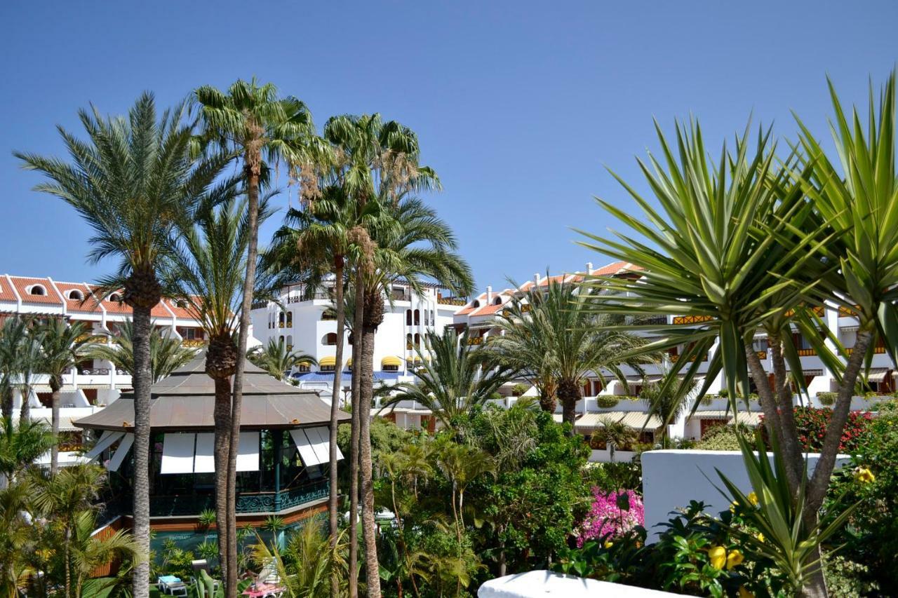 3 Santiago Playa Tenerife Estudio * Playa de las Americas (Tenerife)