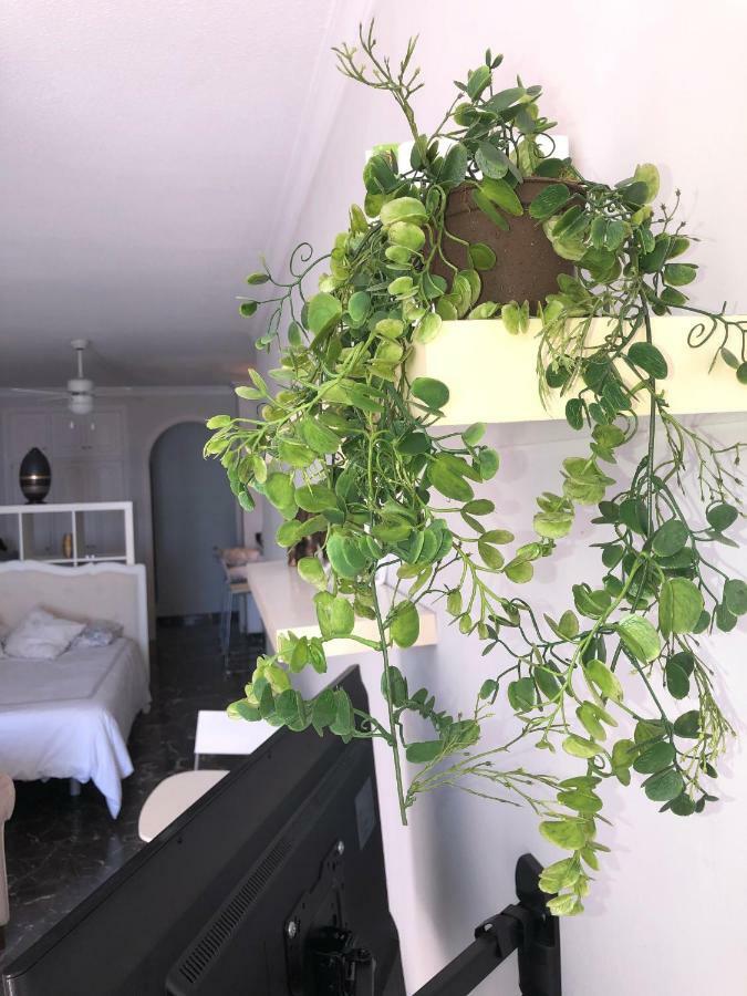 Apartamento Estudio Vista Gigantes *