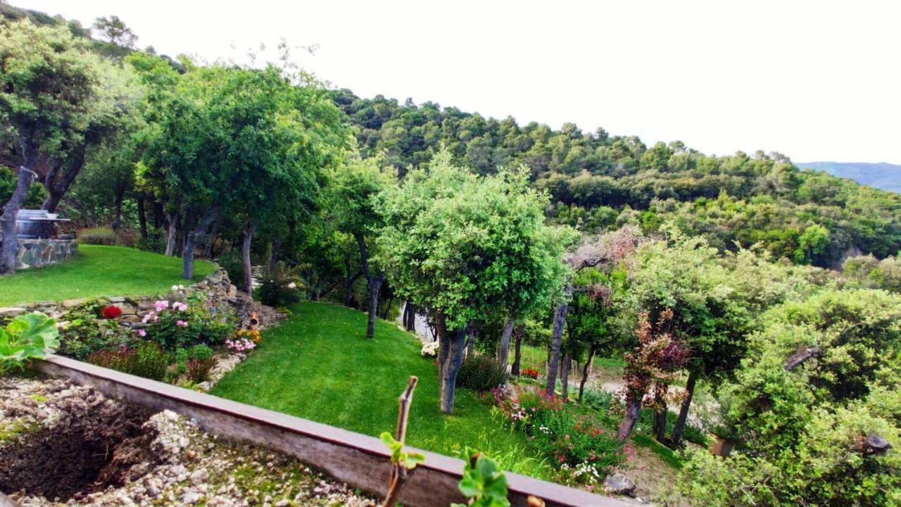 Els Refugis Del Montseny Cal Somni Holiday home *