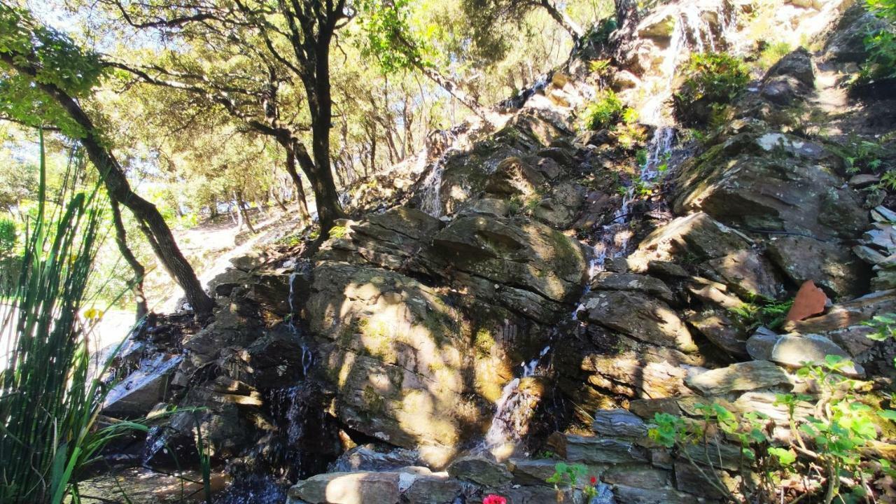 Holiday home Els Refugis Del Montseny Cal Somni San Pedro de Vilamajor