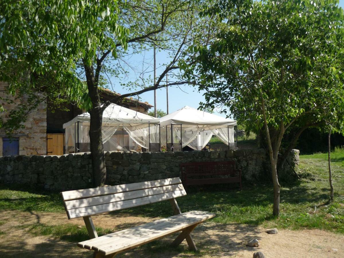Fiol Masia Holiday home *