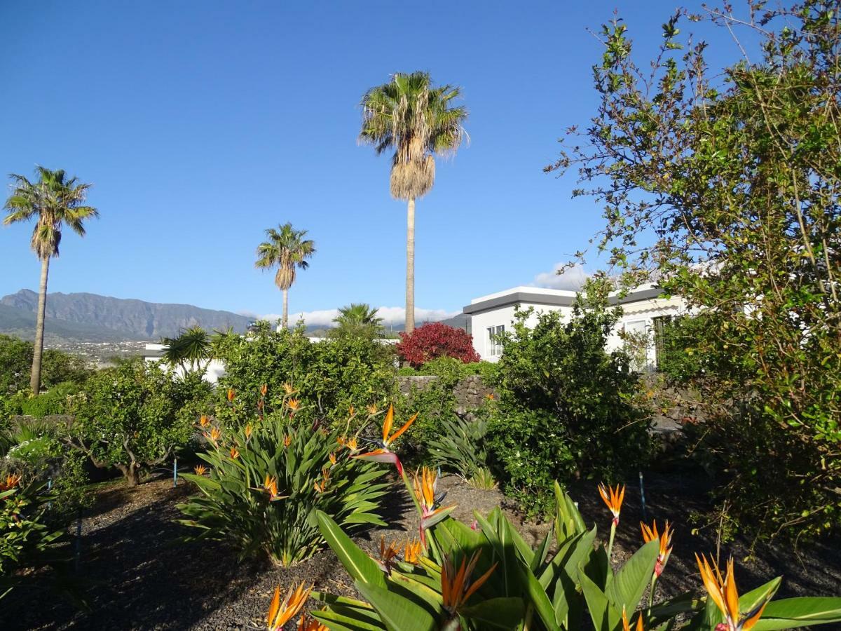 Finca Sueño La Palma