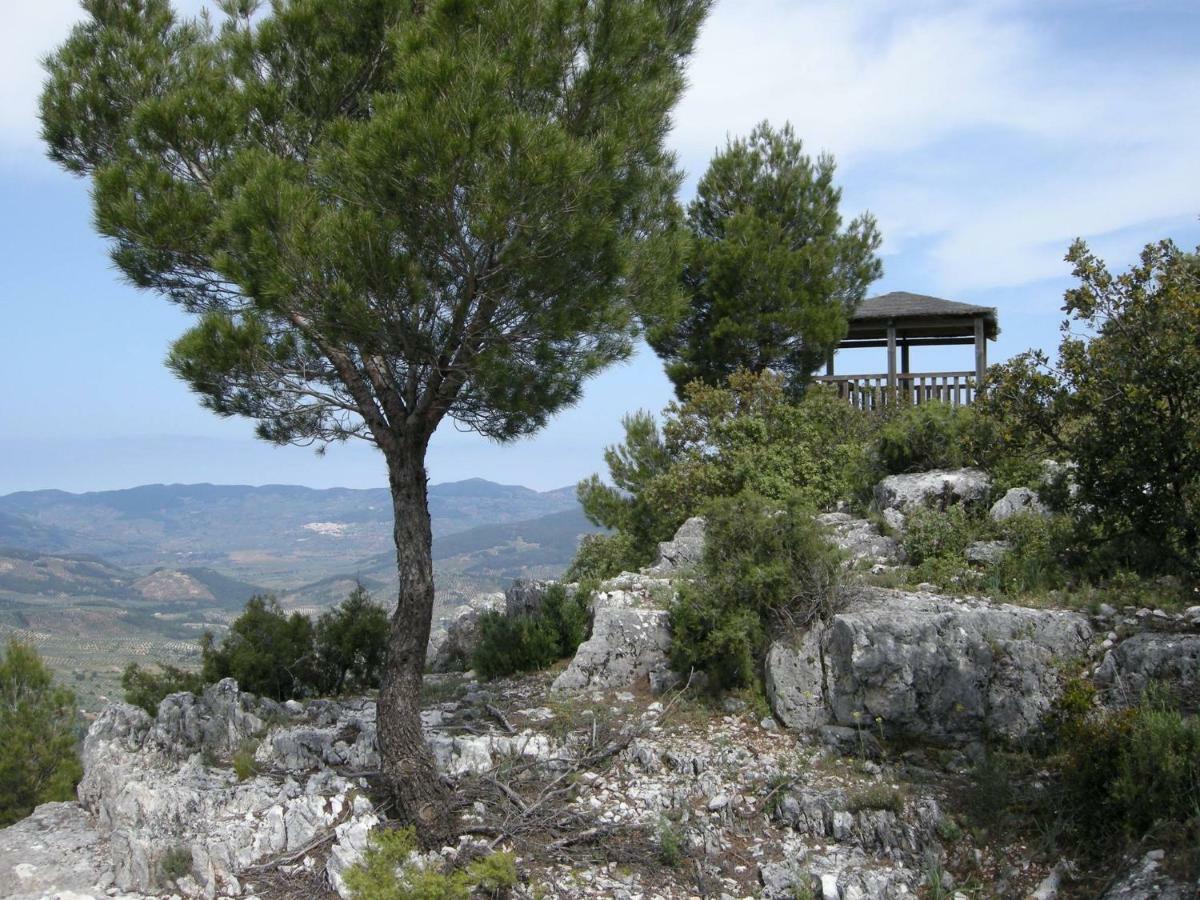 Casa Pinos * Siles