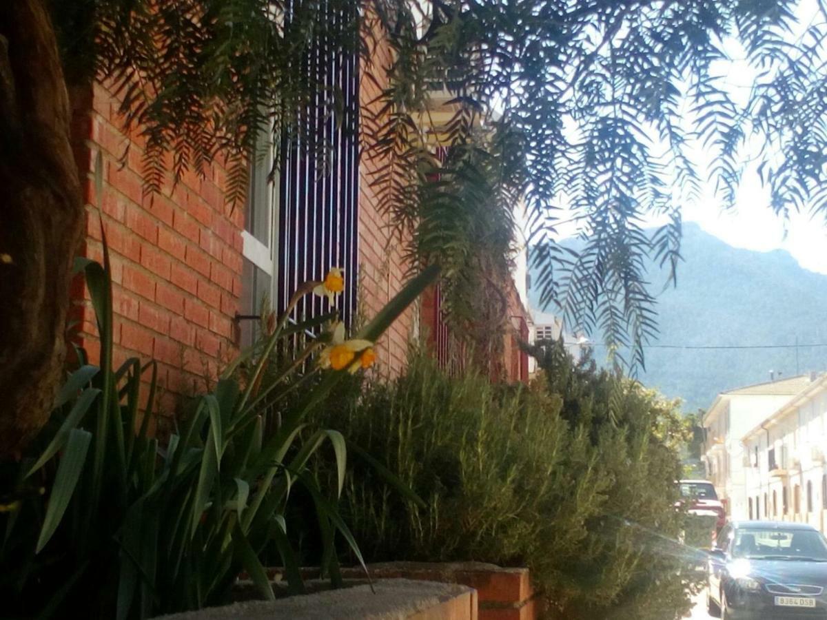 Casa Pinos * Siles