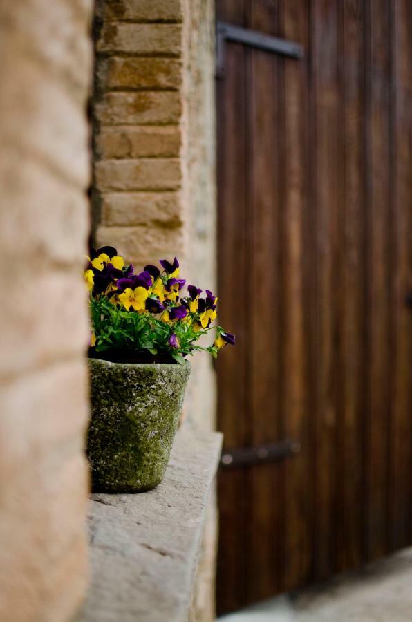 Casa Cal Pastor Country house *