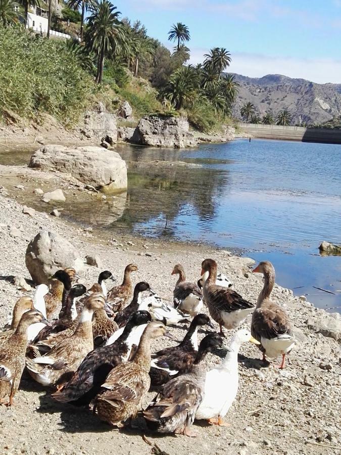 La Presa