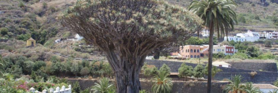 Apartamento Stunning Views At Tenerife