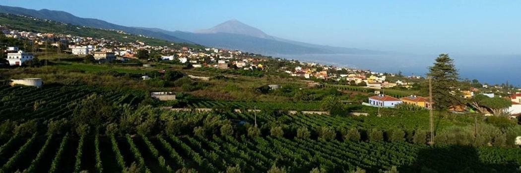 Apartamento Stunning Views At Tenerife *