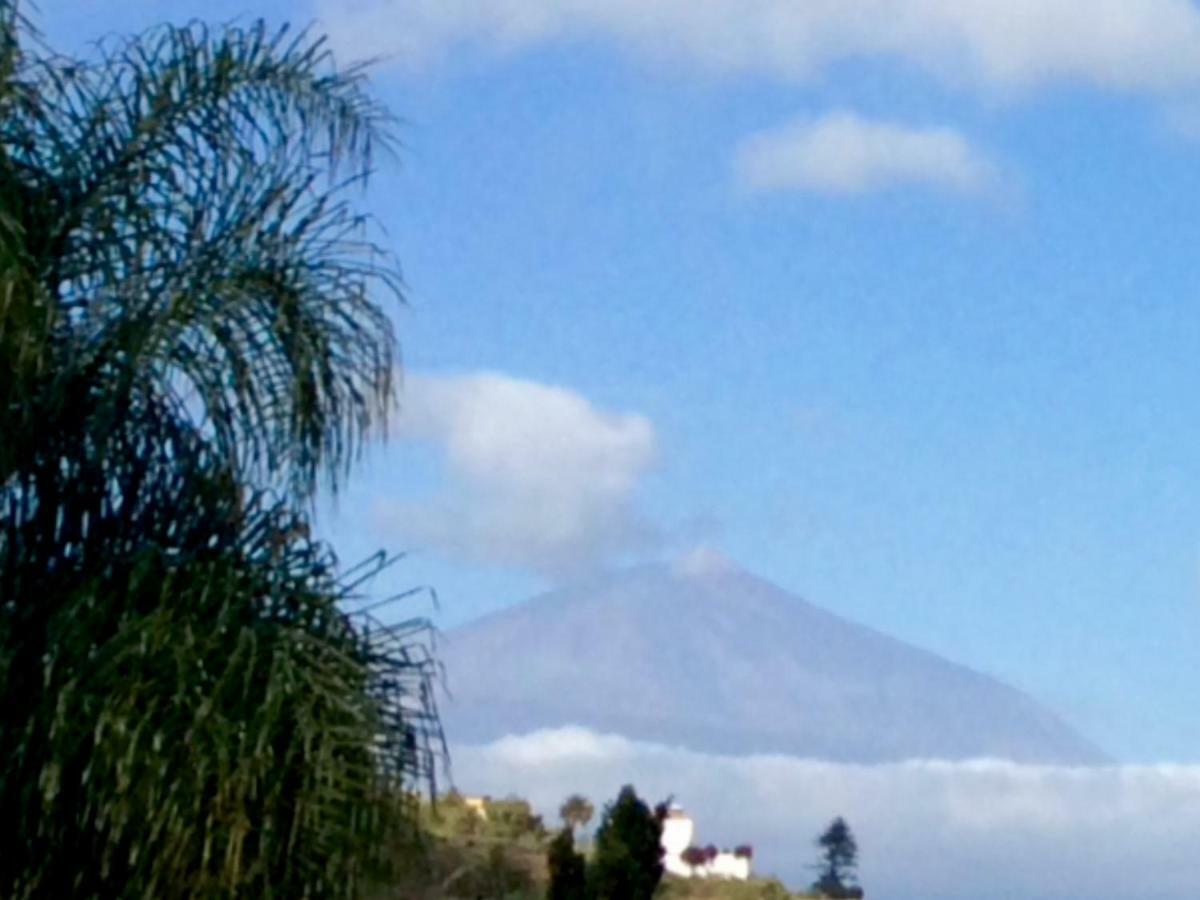 Con Vista *