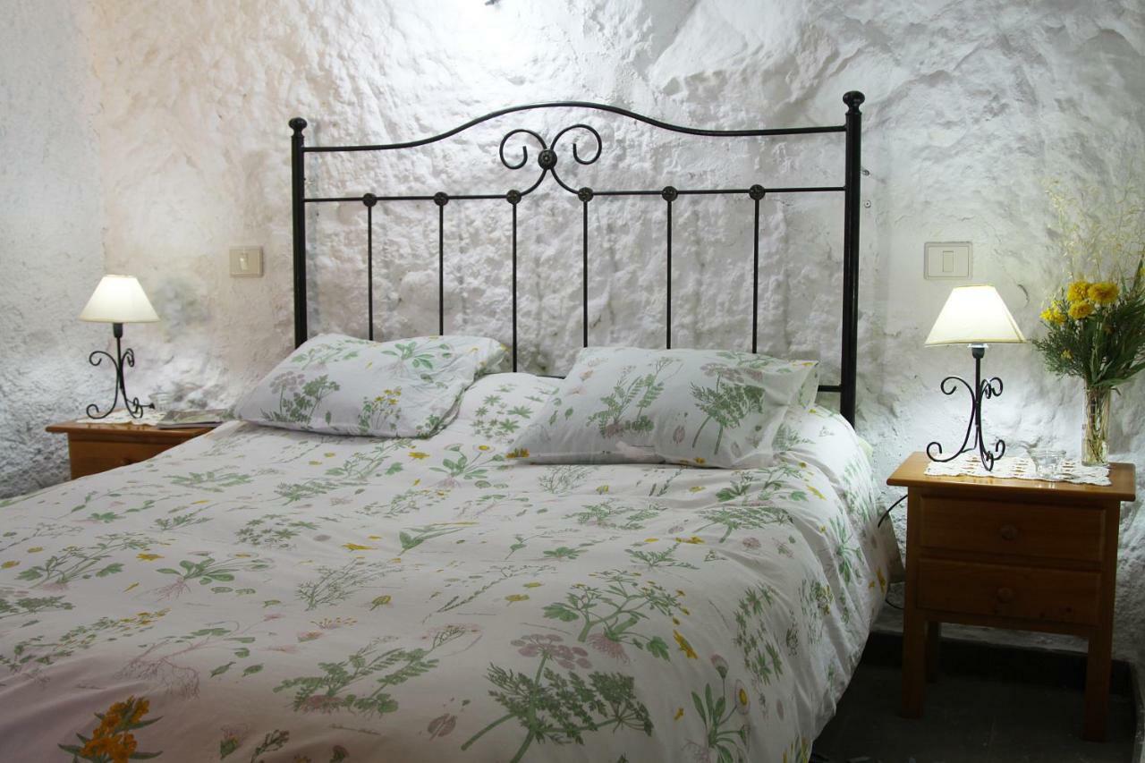 Casa-cueva Alta Casa rural