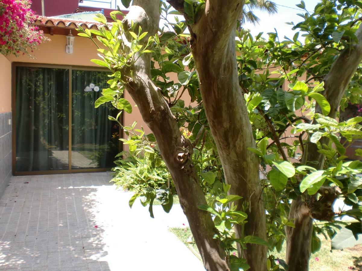 Finca La Gaviota - El Mango Icod De Los Vinos