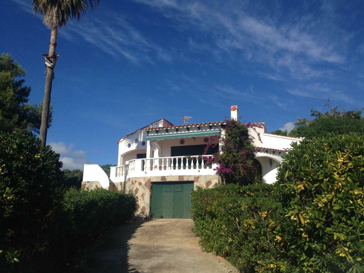 Alondra B6 Villa