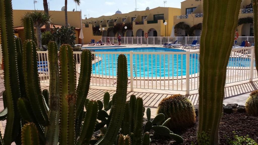 Apartment Castillo C5-c6