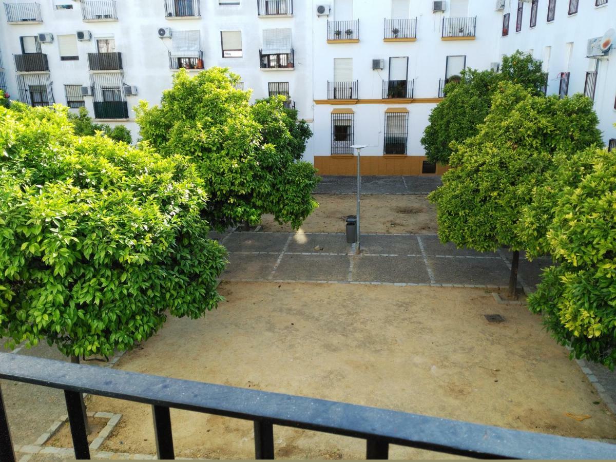 Plaza Compania Jerez Apartment
