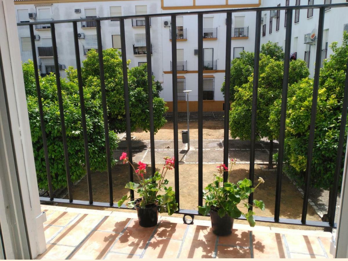 Plaza Compania Jerez *