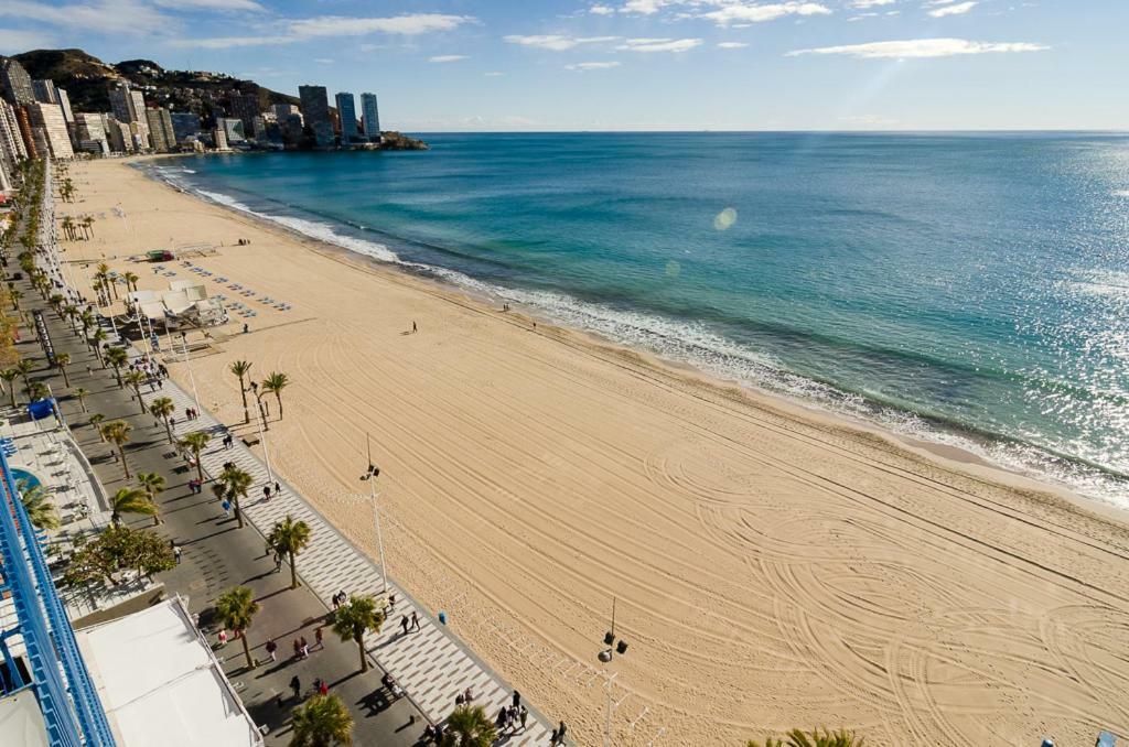 Las Palmeras 12d Benidorm
