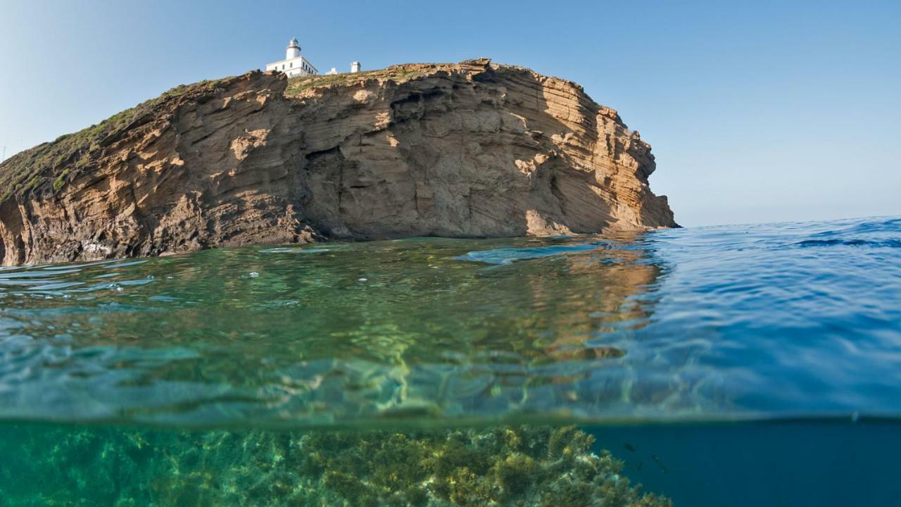 La Casa De Peces *
