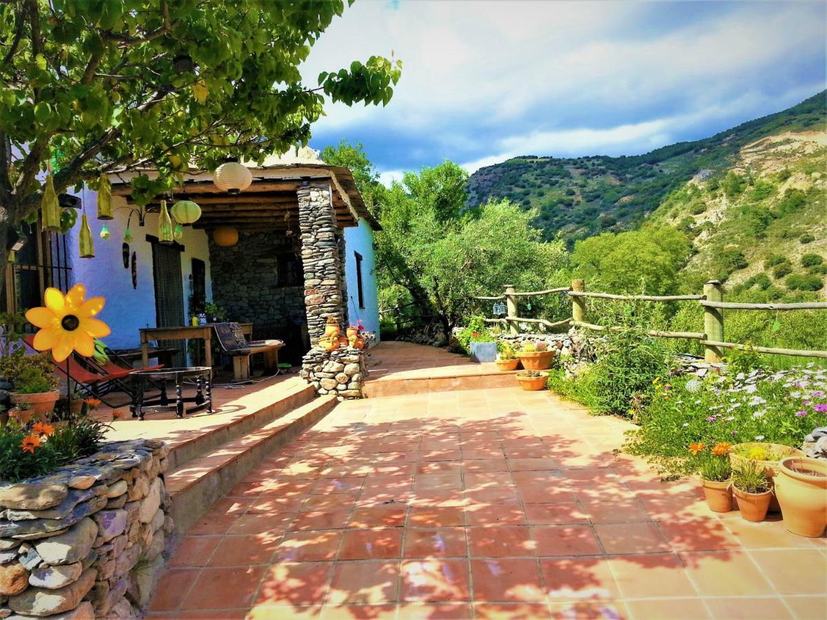 Luz Y Paz Villa *