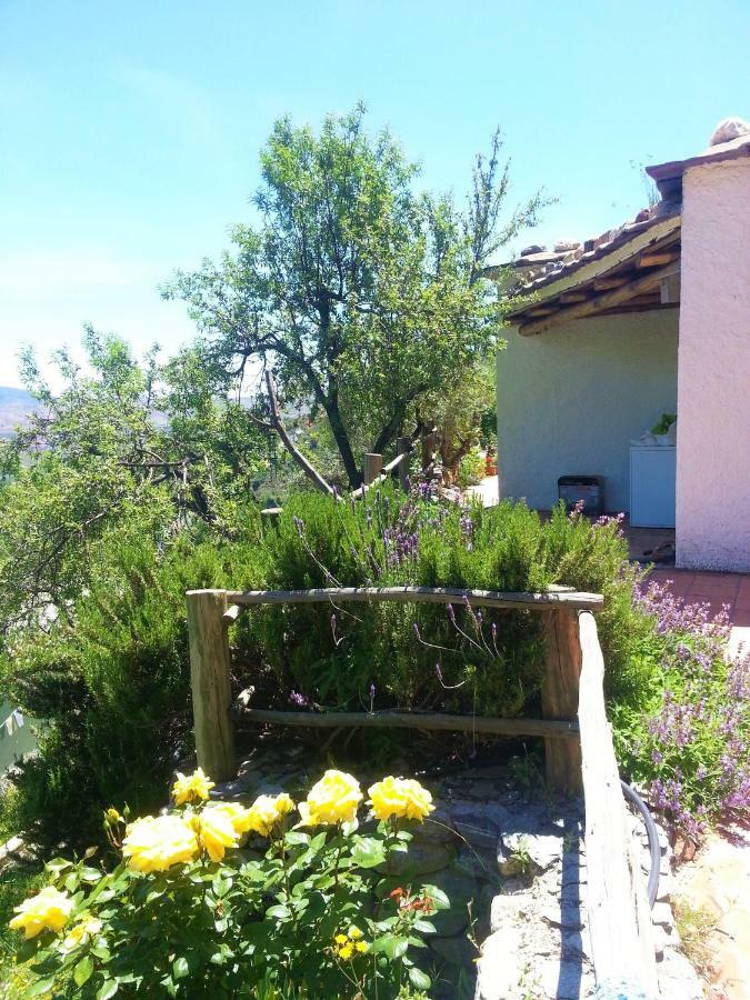 Luz Y Paz Villa *