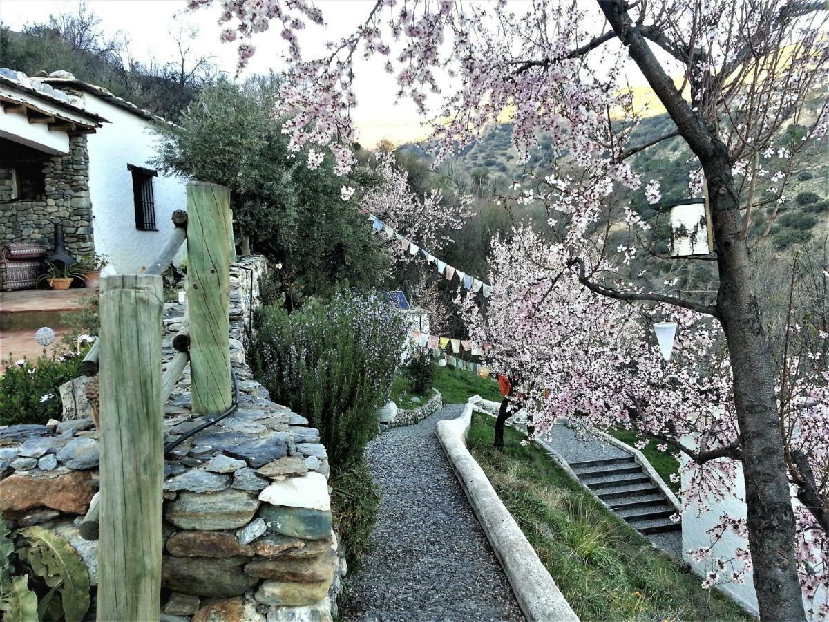 Villa Luz Y Paz