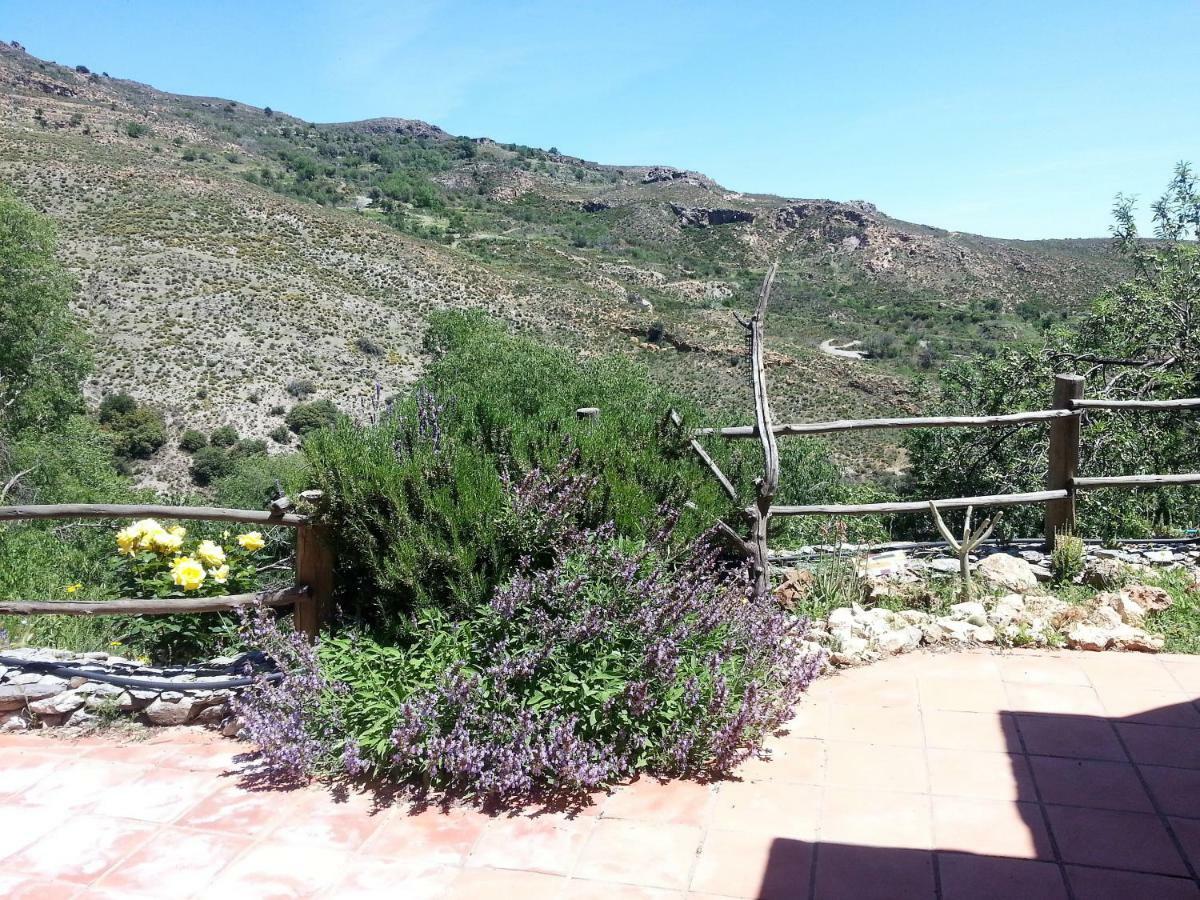 Villa Luz Y Paz *